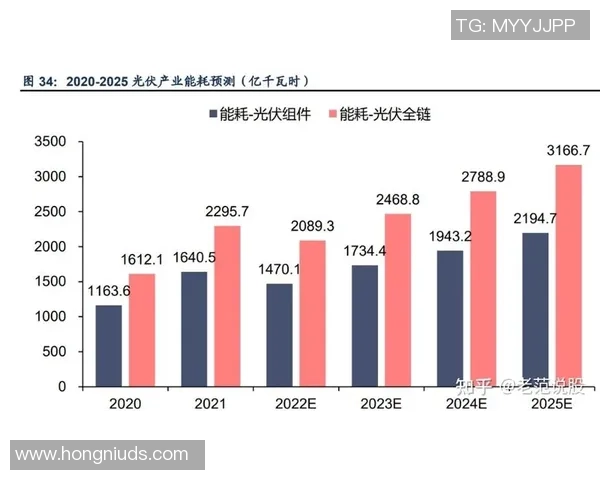 中国足球数据库助力青少年培养与职业发展全面解析与未来展望